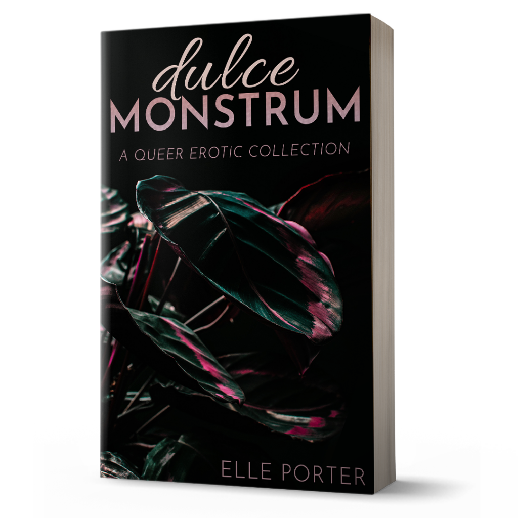 A 3D paperback mockup of the Dulce Monstrum book cover