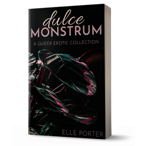 A 3D paperback mockup of the Dulce Monstrum book cover